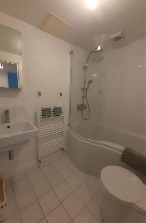 2 Bedroom Victorian Garden Flat London Kültér fotó