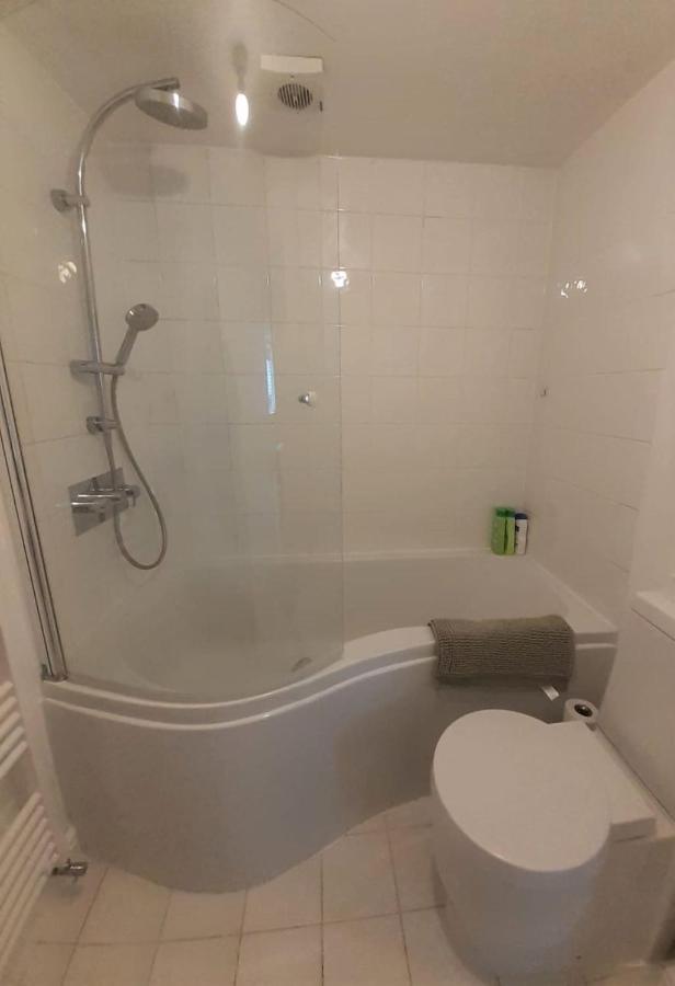 2 Bedroom Victorian Garden Flat London Kültér fotó
